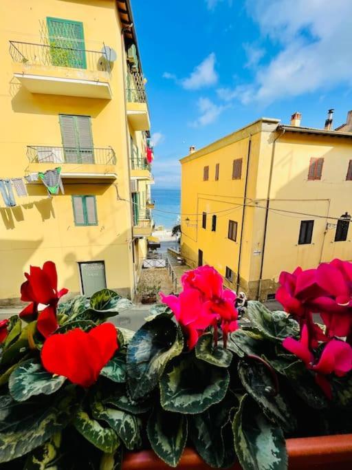 Maddy House - 50 Mt Dal Mare Villa Porto Santo Stefano  Luaran gambar